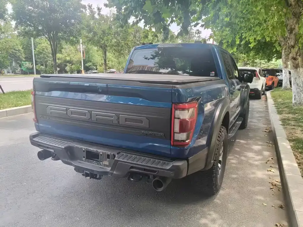 Ford F-150 Raptor 2023 из CN, фото 10