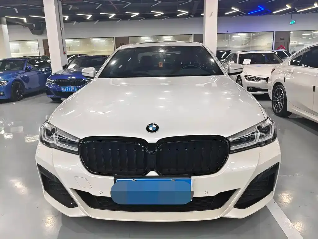 BMW 5 Series 2021 из CN, фото 6