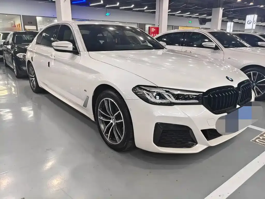 BMW 5 Series 2021 из CN, фото 4