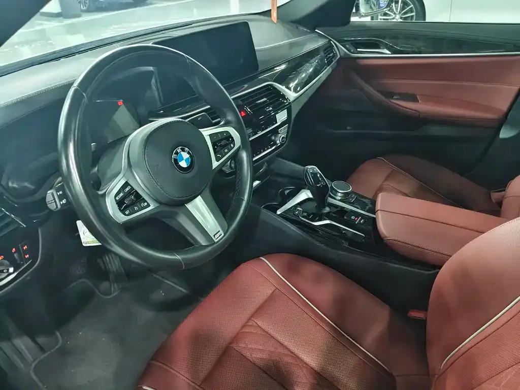BMW 5 Series 2021 из CN, фото 8