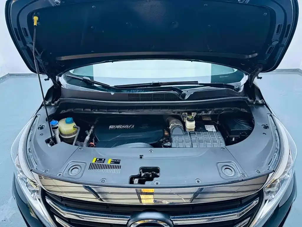 GAC Motor Trumpchi M8 2024 из CN, фото 10