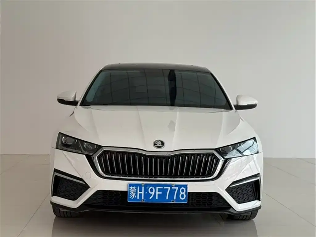 Skoda Octavia 2021 из CN, фото 2