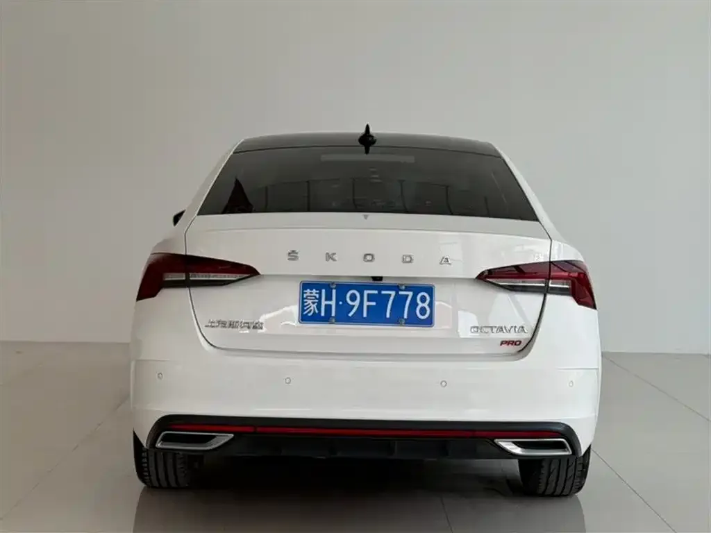 Skoda Octavia 2021 из CN, фото 6