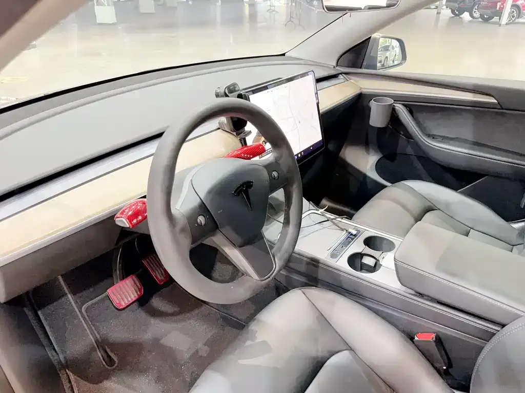 Tesla Model Y — фото 10