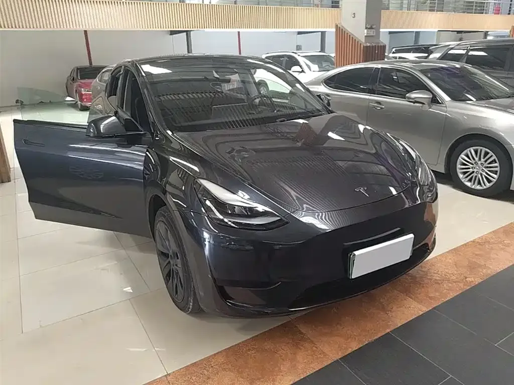 Tesla Model Y — фото 8