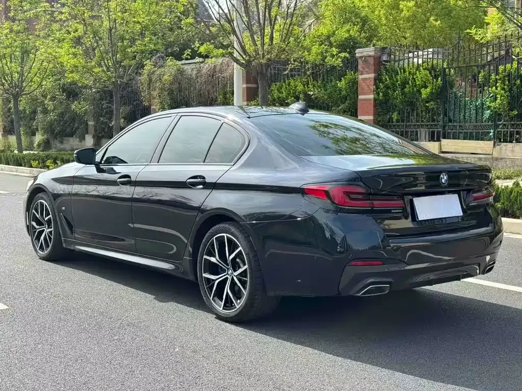 BMW 5 Series (Import) 2022 из CN, фото 6