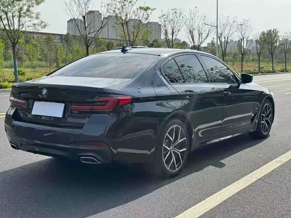 BMW 5 Series (Import) 2022 из CN, фото 8