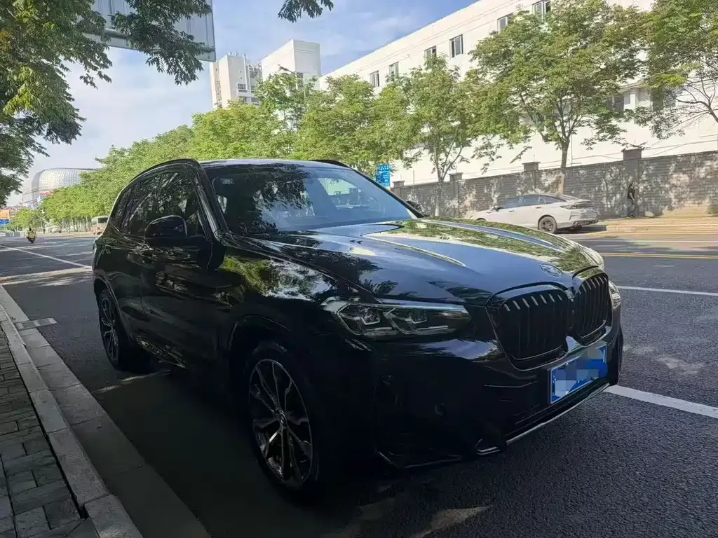 BMW X3 2023 из CN, фото 3