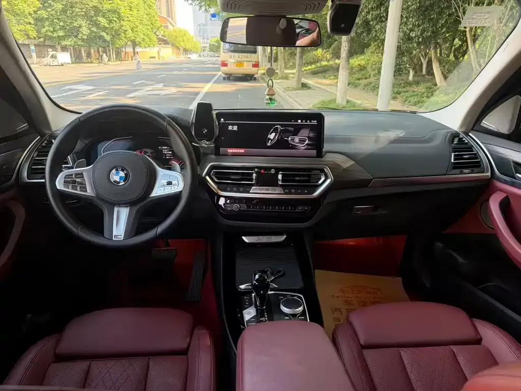 BMW X3 2023 из CN, фото 6