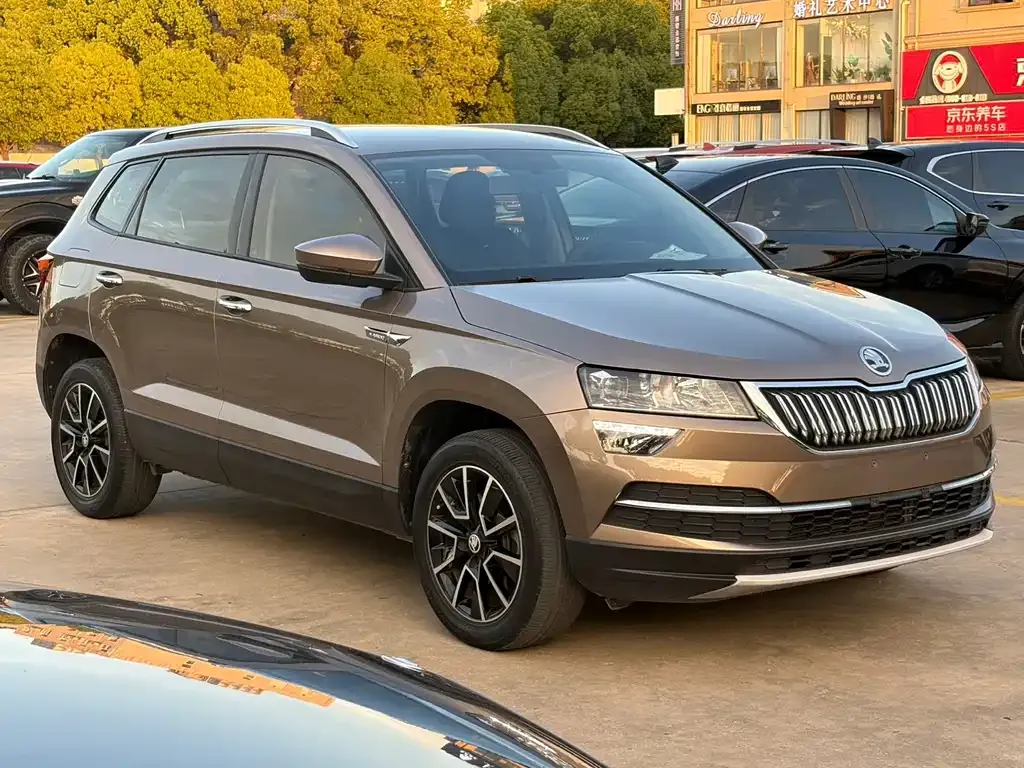 Skoda Karoq 2021 из CN, фото 5