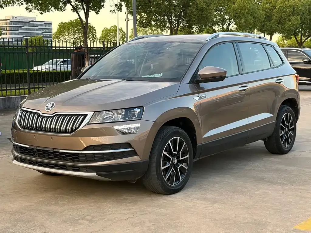 Skoda Karoq 2021 из CN, фото 10
