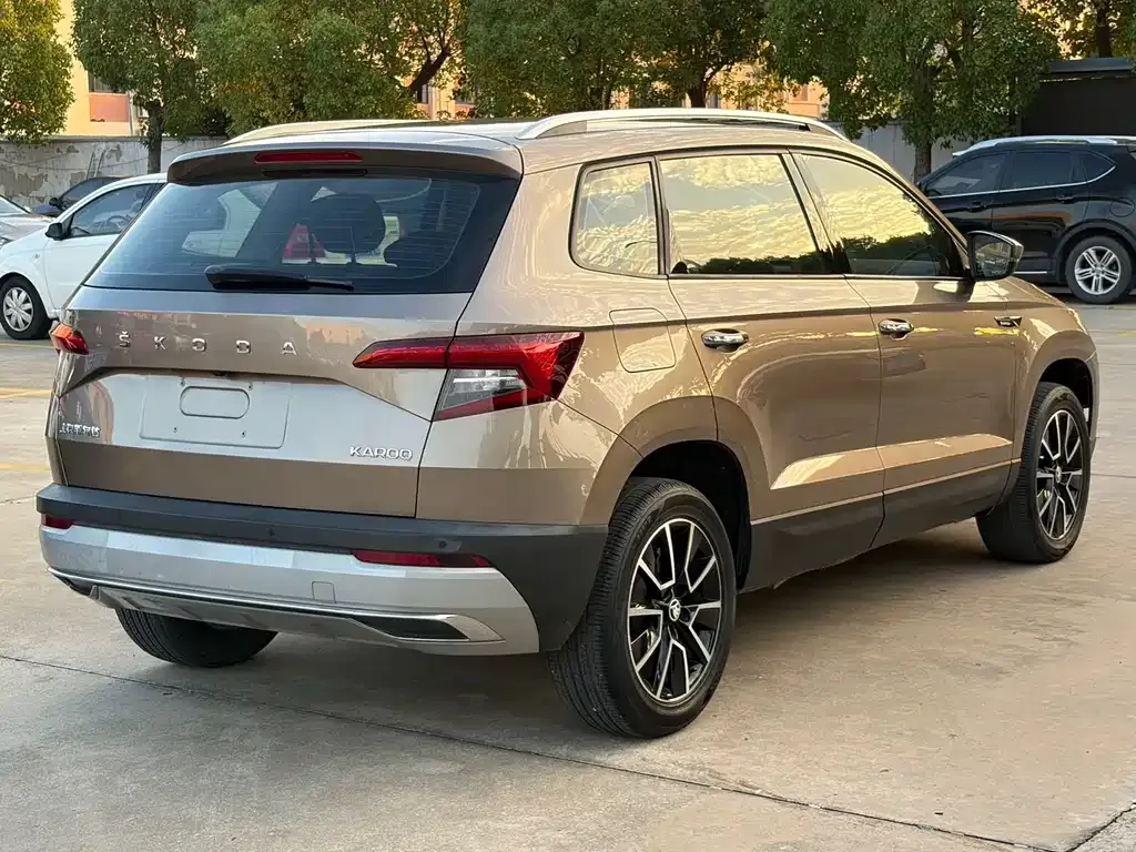 Skoda Karoq 2021 из CN, фото 8