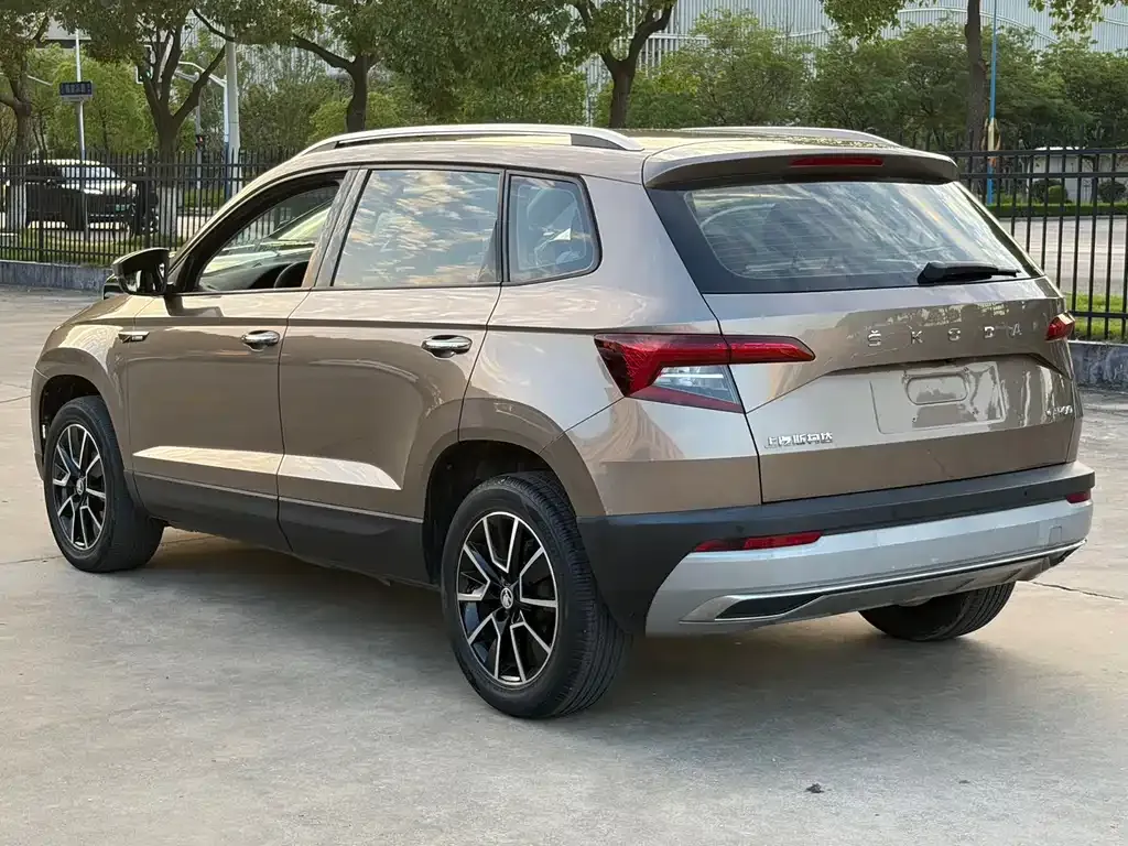 Skoda Karoq 2021 из CN, фото 9