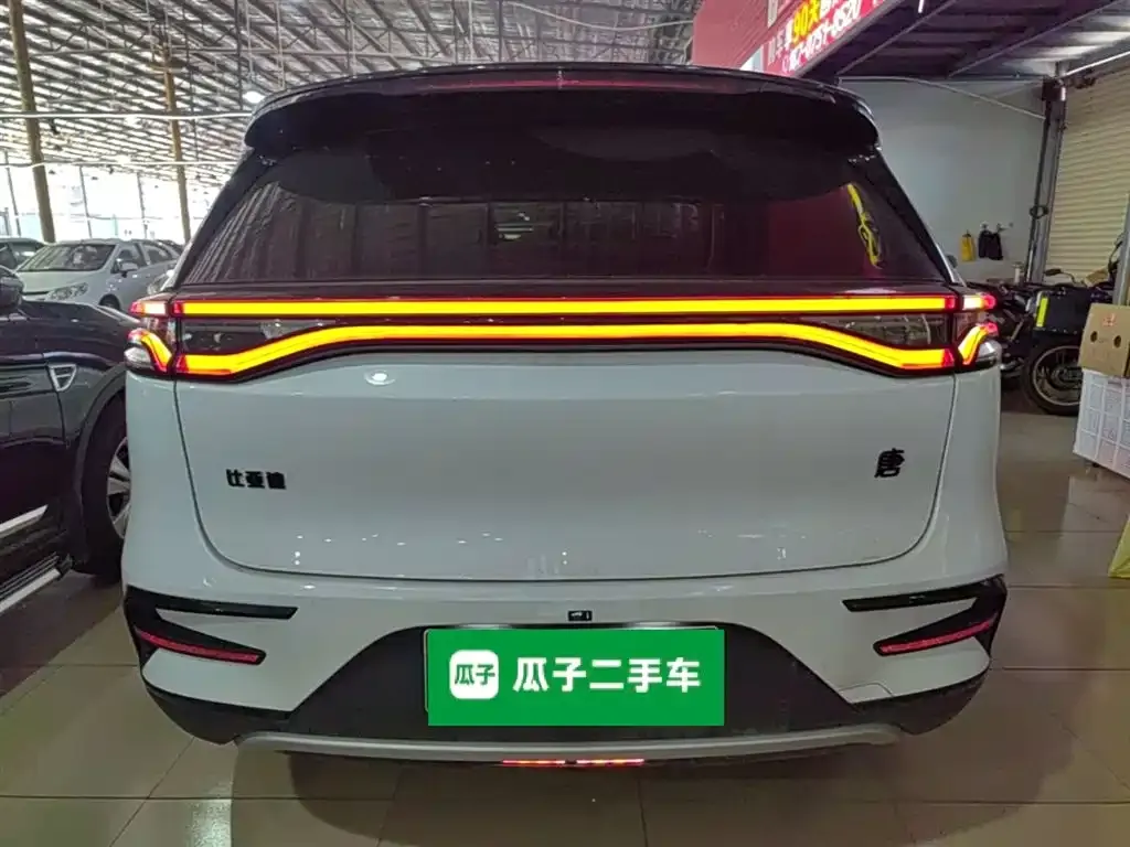 BYD Tang New Energy 2023 из CN, фото 10