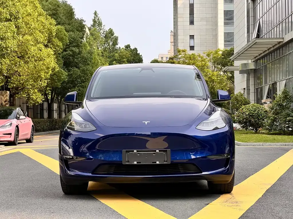 Tesla Model Y — фото 10