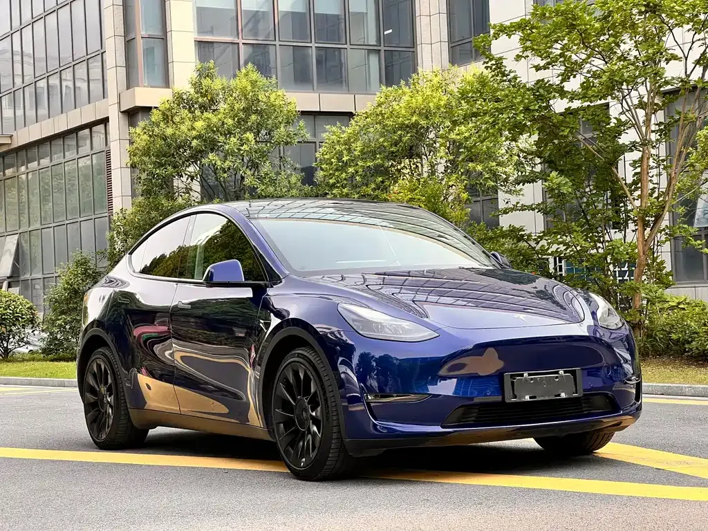 Tesla Model Y — фото 8