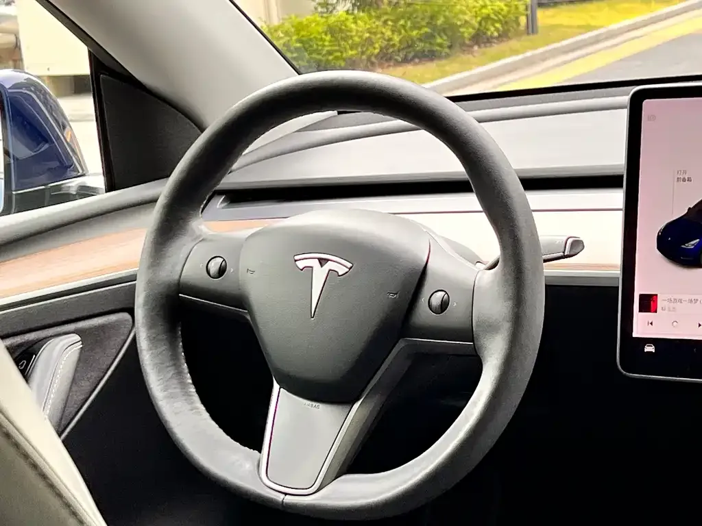 Tesla Model Y — фото 2