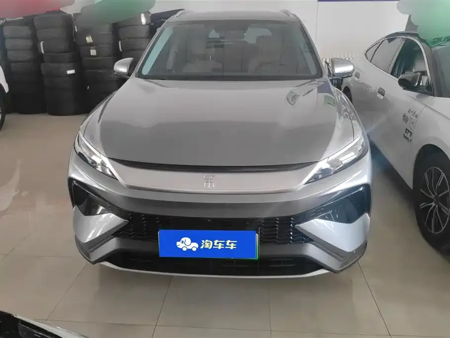 BYD Pro New Energy 2025 из CN, фото 4