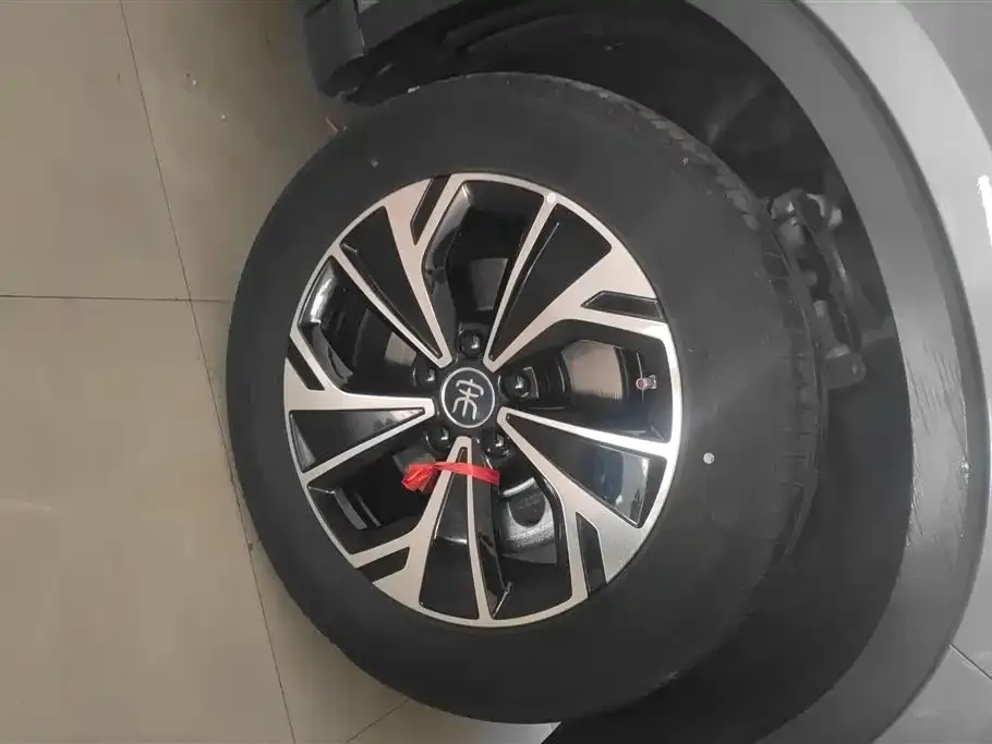 BYD Pro New Energy 2025 из CN, фото 3