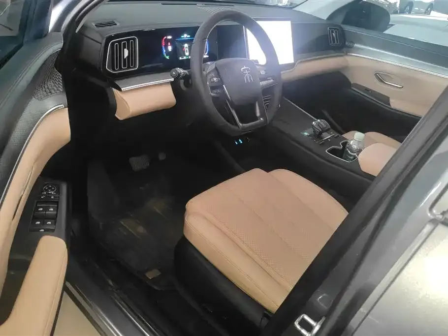 BYD Pro New Energy 2025 из CN, фото 5