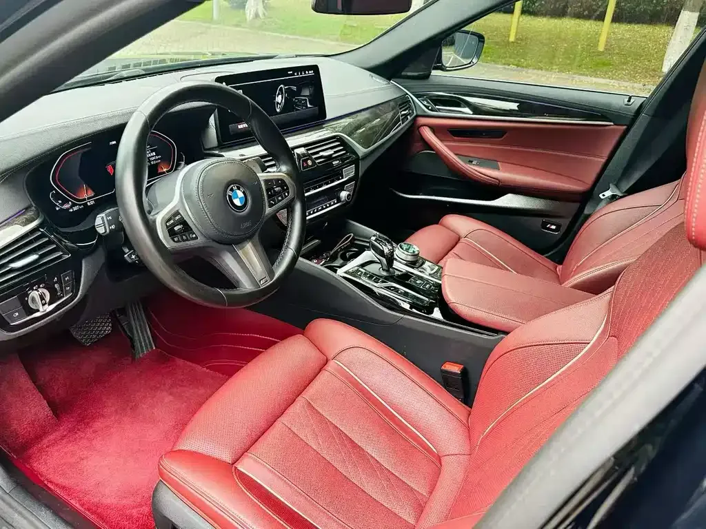 BMW 5 Series 2022 из CN, фото 6
