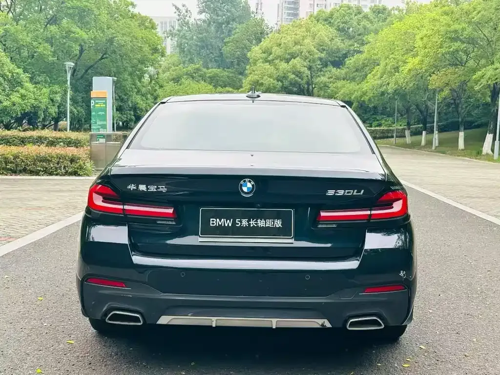 BMW 5 Series 2022 из CN, фото 8