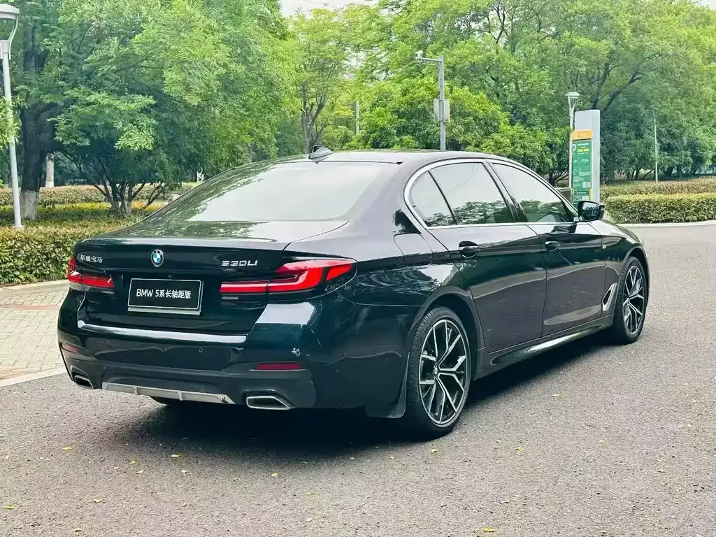 BMW 5 Series 2022 из CN, фото 9