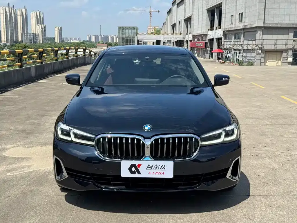 BMW 5 Series 2021 из CN, фото 2