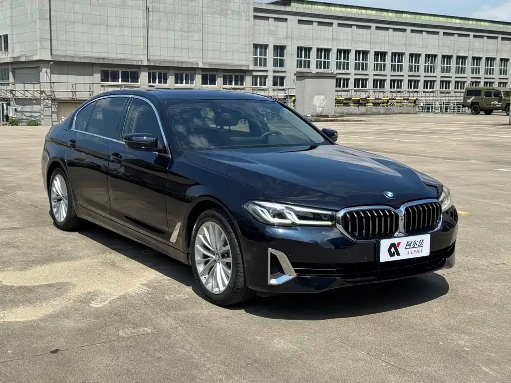 BMW 5 Series 2021 из CN, фото 9