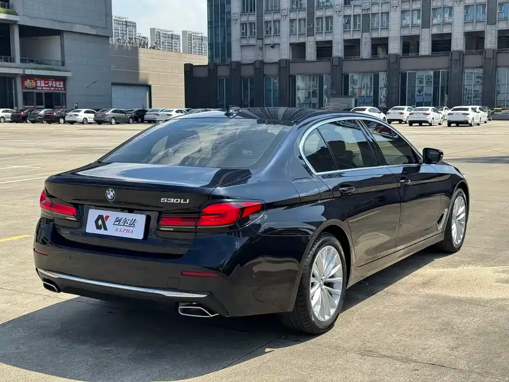BMW 5 Series 2021 из CN, фото 10