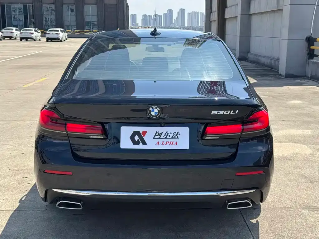BMW 5 Series 2021 из CN, фото 8
