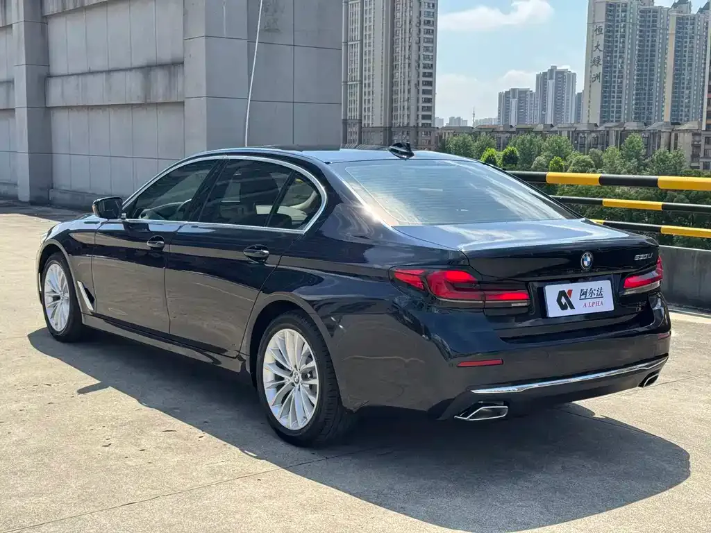 BMW 5 Series 2021 из CN, фото 7
