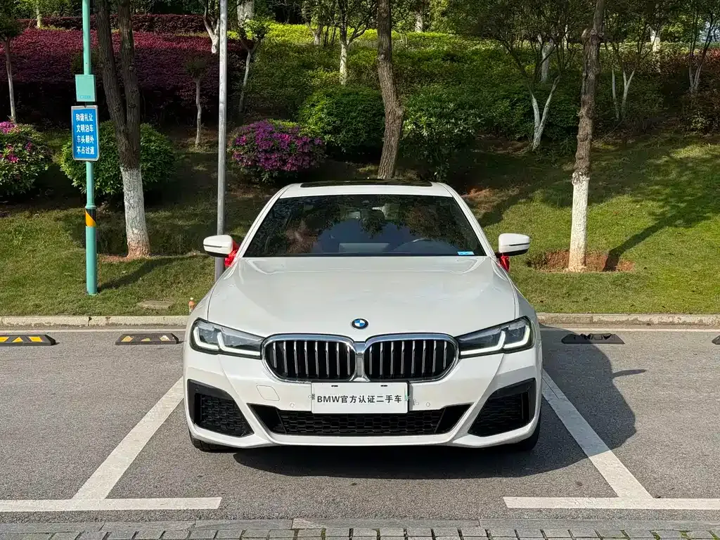 BMW 5 Series — фото 1