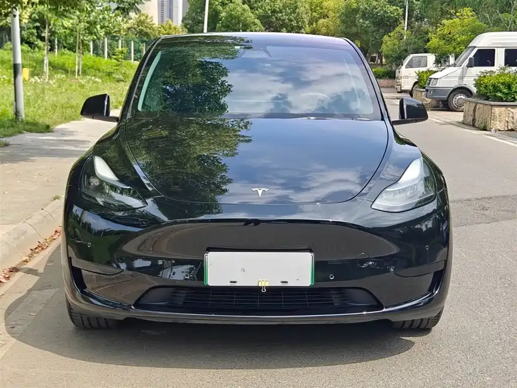 Tesla Model Y — фото 10