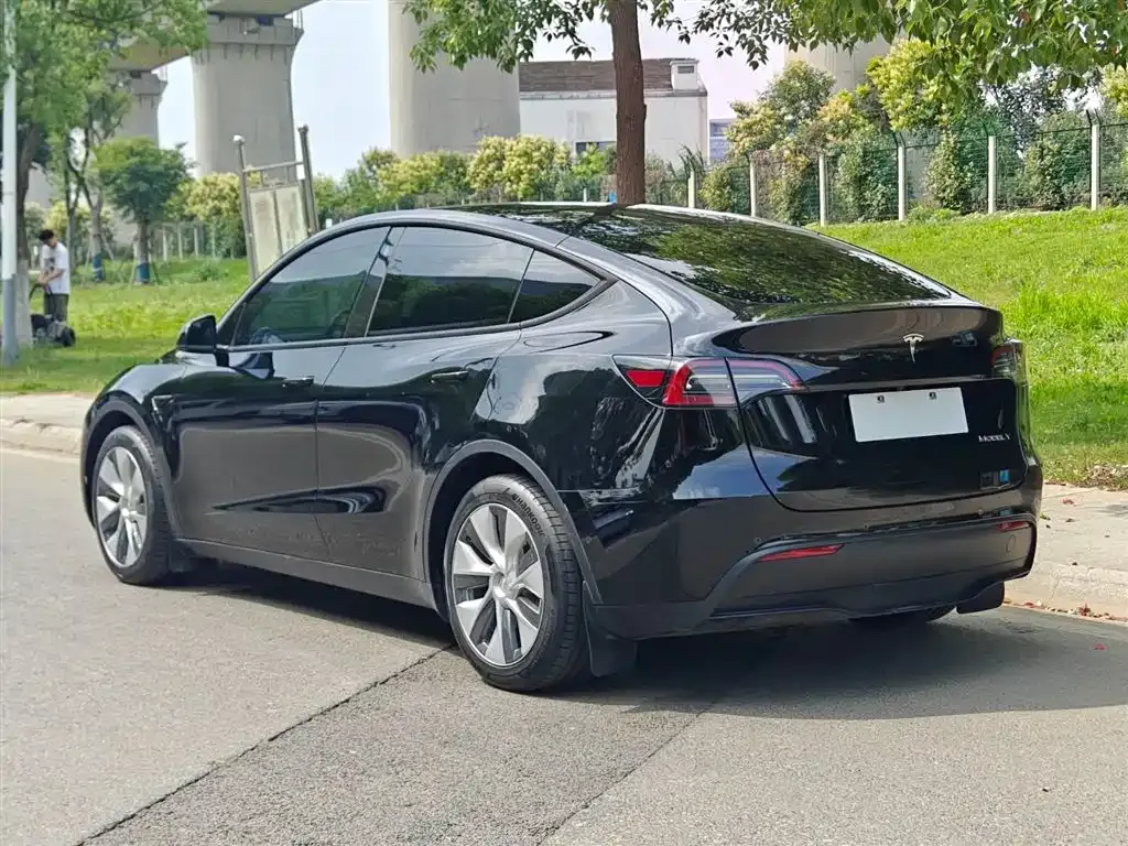 Tesla Model Y — фото 8