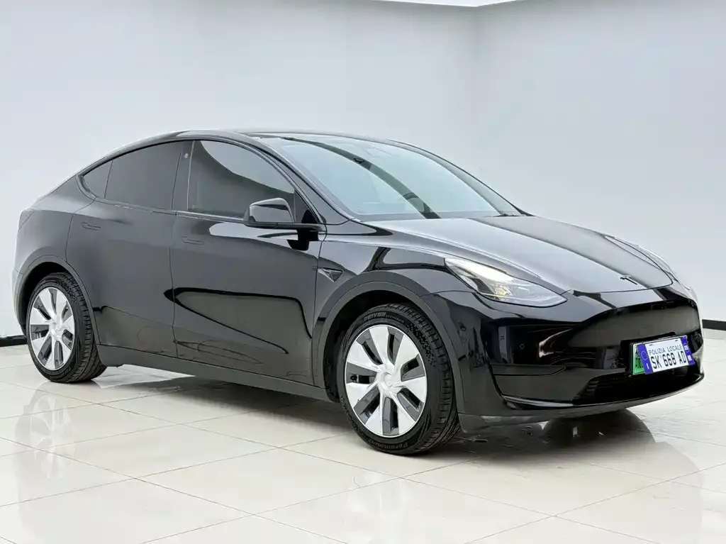 Tesla Model Y — фото 9
