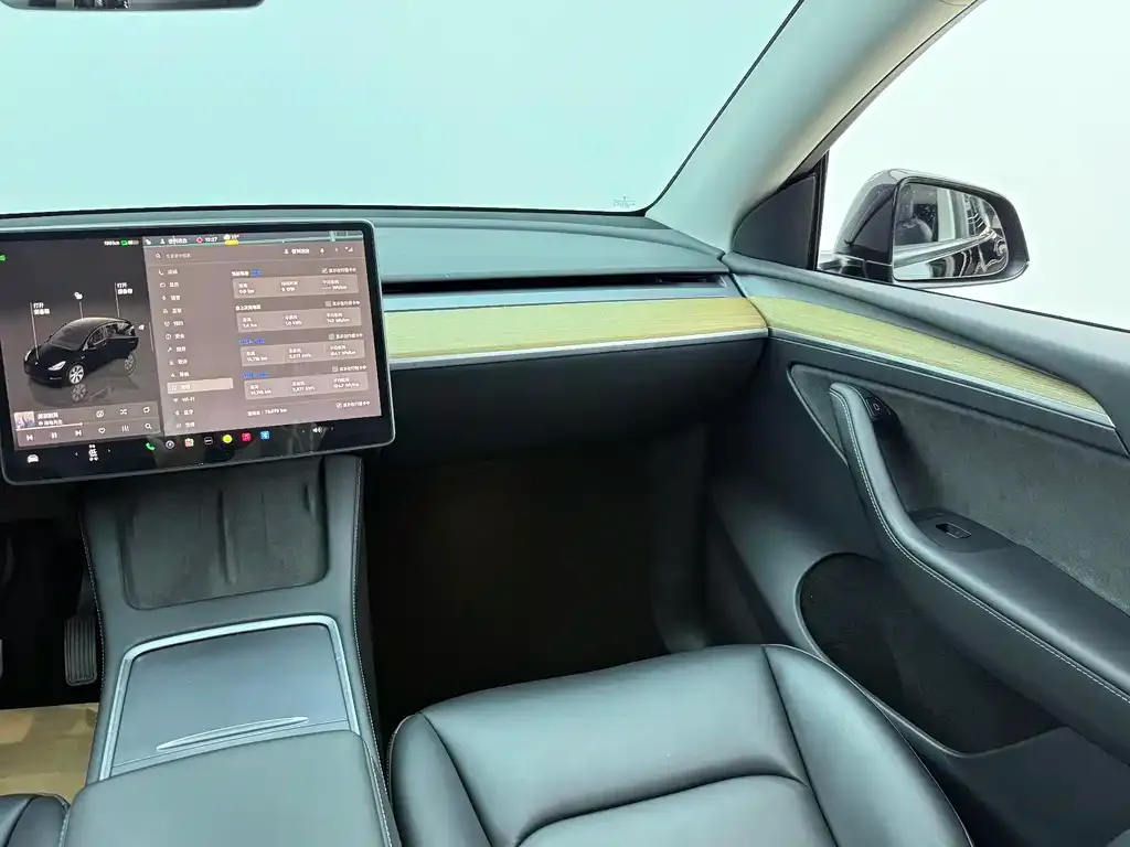 Tesla Model Y — фото 8