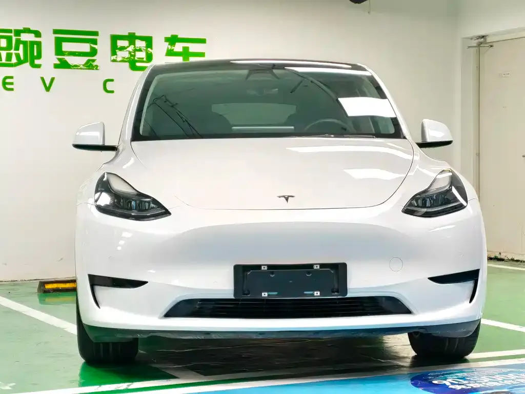 Tesla Model Y — фото 8