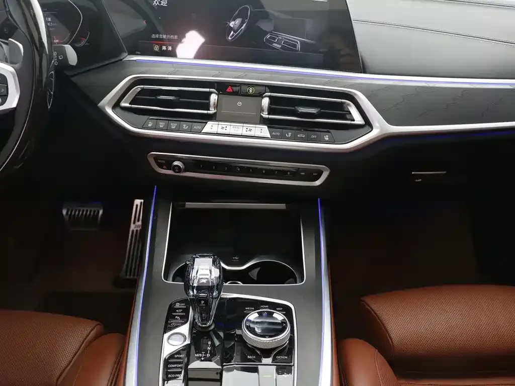 BMW X7 2021 из CN, фото 8