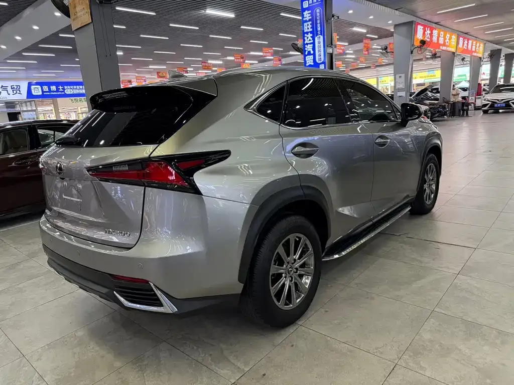 Lexus NX 2021 из CN, фото 9
