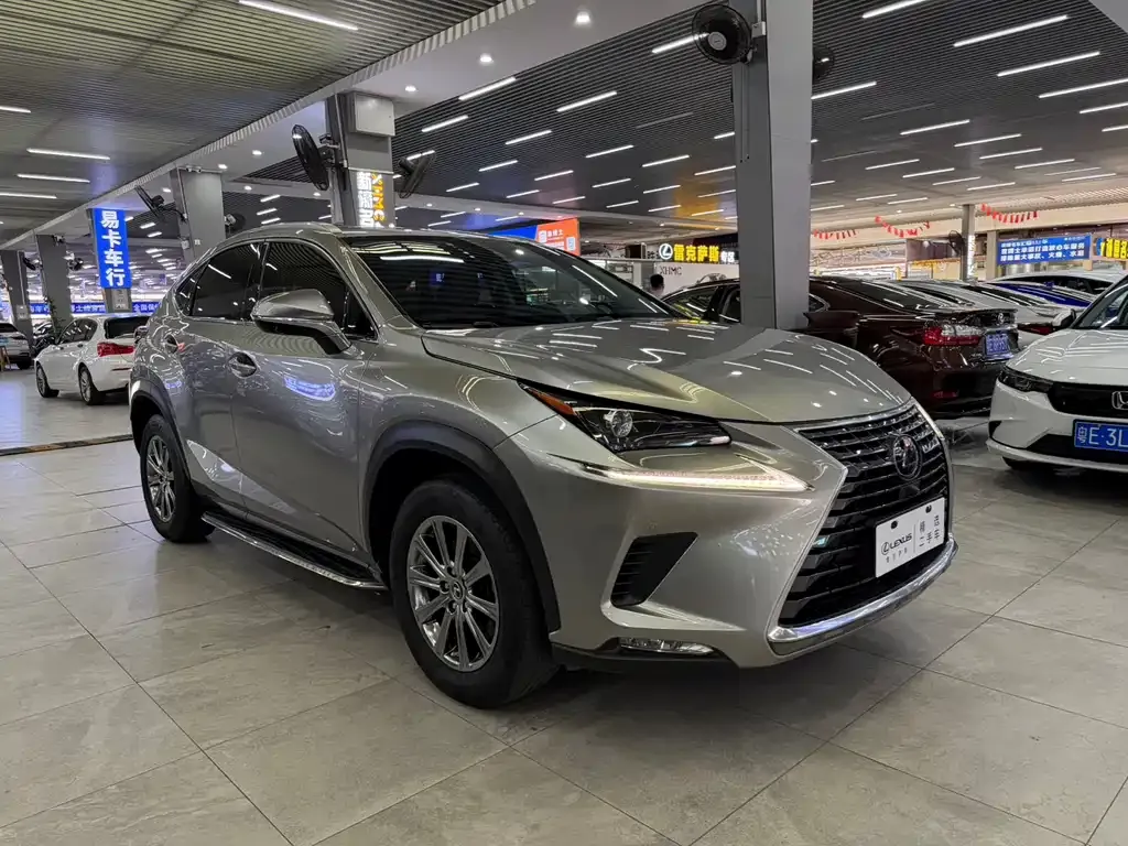 Lexus NX 2021 из CN, фото 8