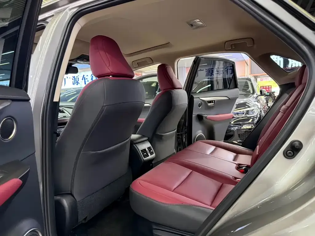 Lexus NX 2021 из CN, фото 6