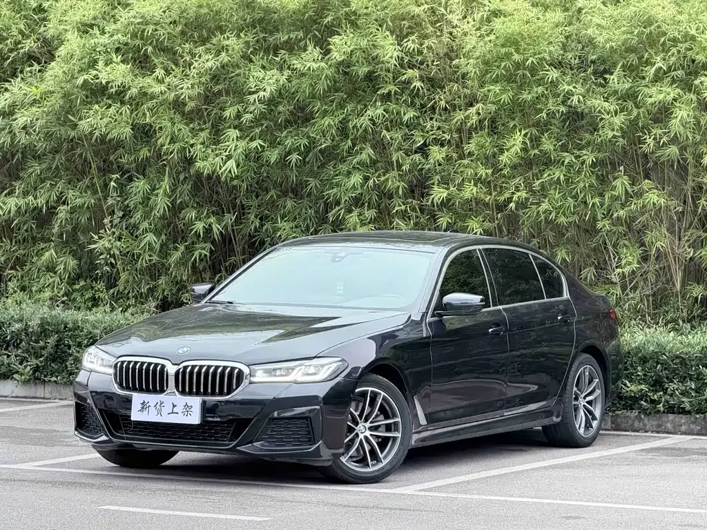 BMW 5 Series — фото 1
