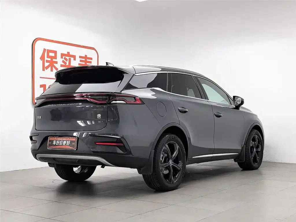 BYD Tang New Energy 2023 из CN, фото 2