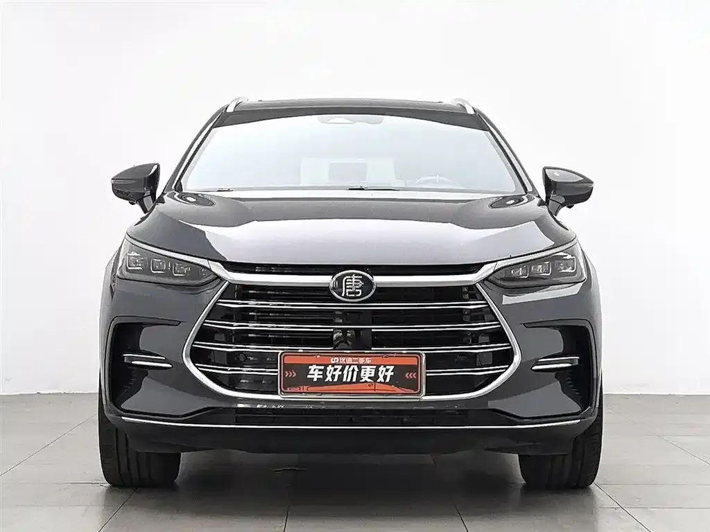 BYD Tang New Energy 2023 из CN, фото 5