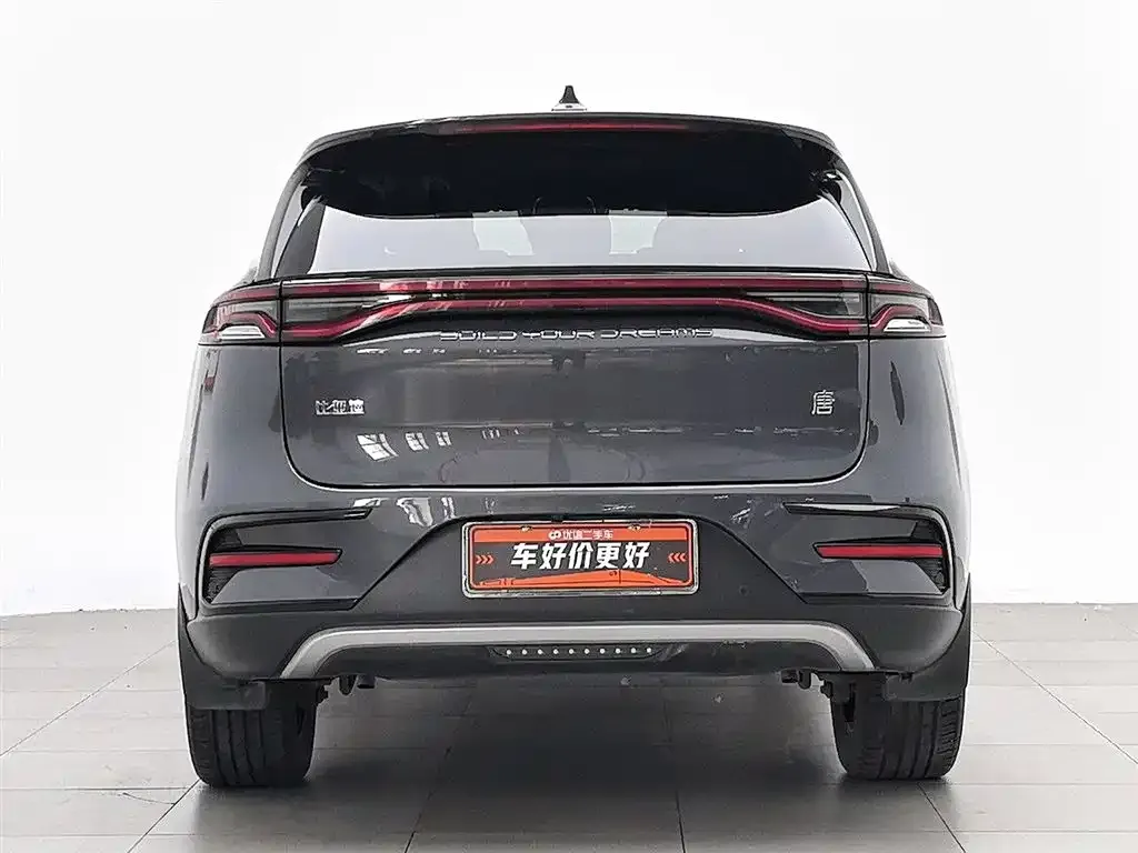 BYD Tang New Energy 2023 из CN, фото 8