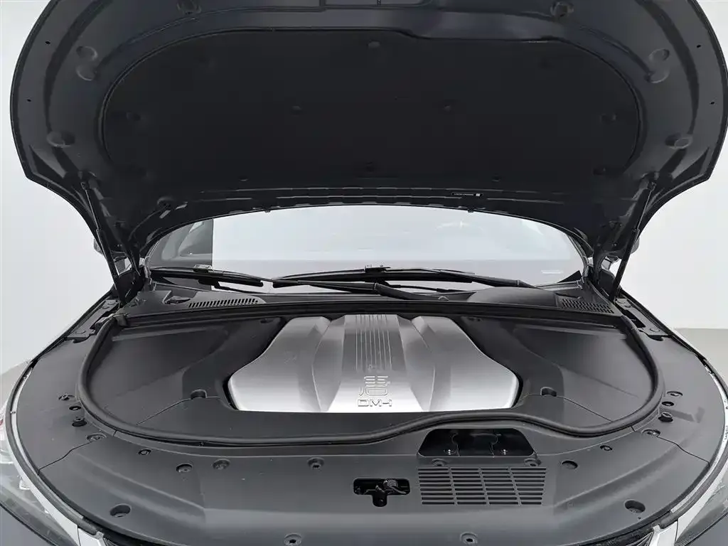 BYD Tang New Energy 2023 из CN, фото 4