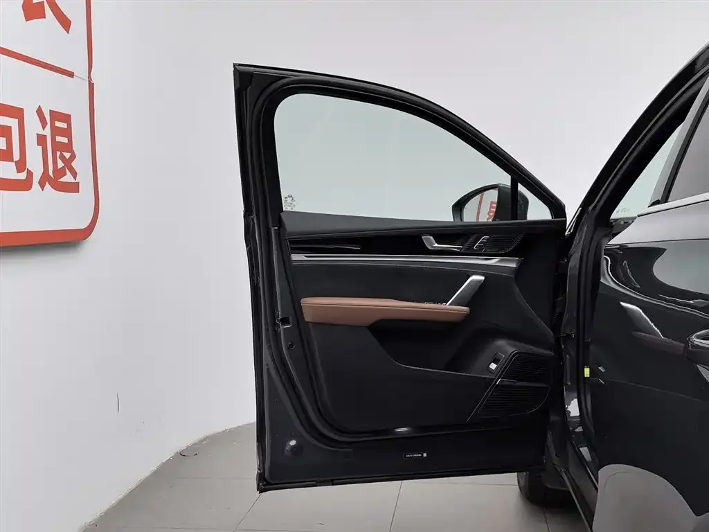 BYD Tang New Energy 2023 из CN, фото 6
