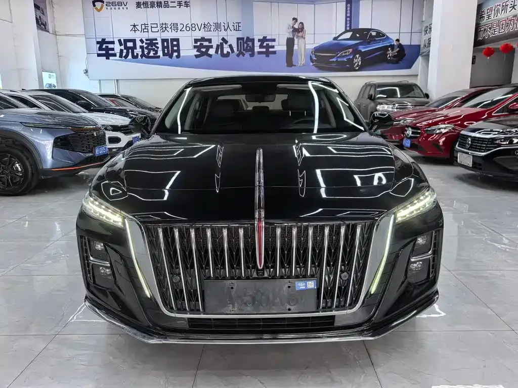 Hongqi H5 2024 из CN, фото 5