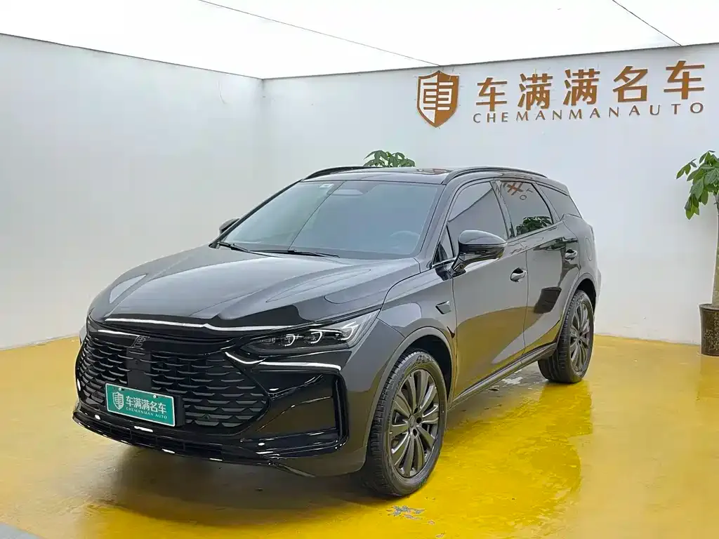 BYD Tang New Energy — фото 1